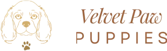 Velvet Paw Puppies